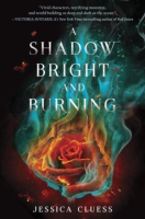 A_shadow_bright_and_burning